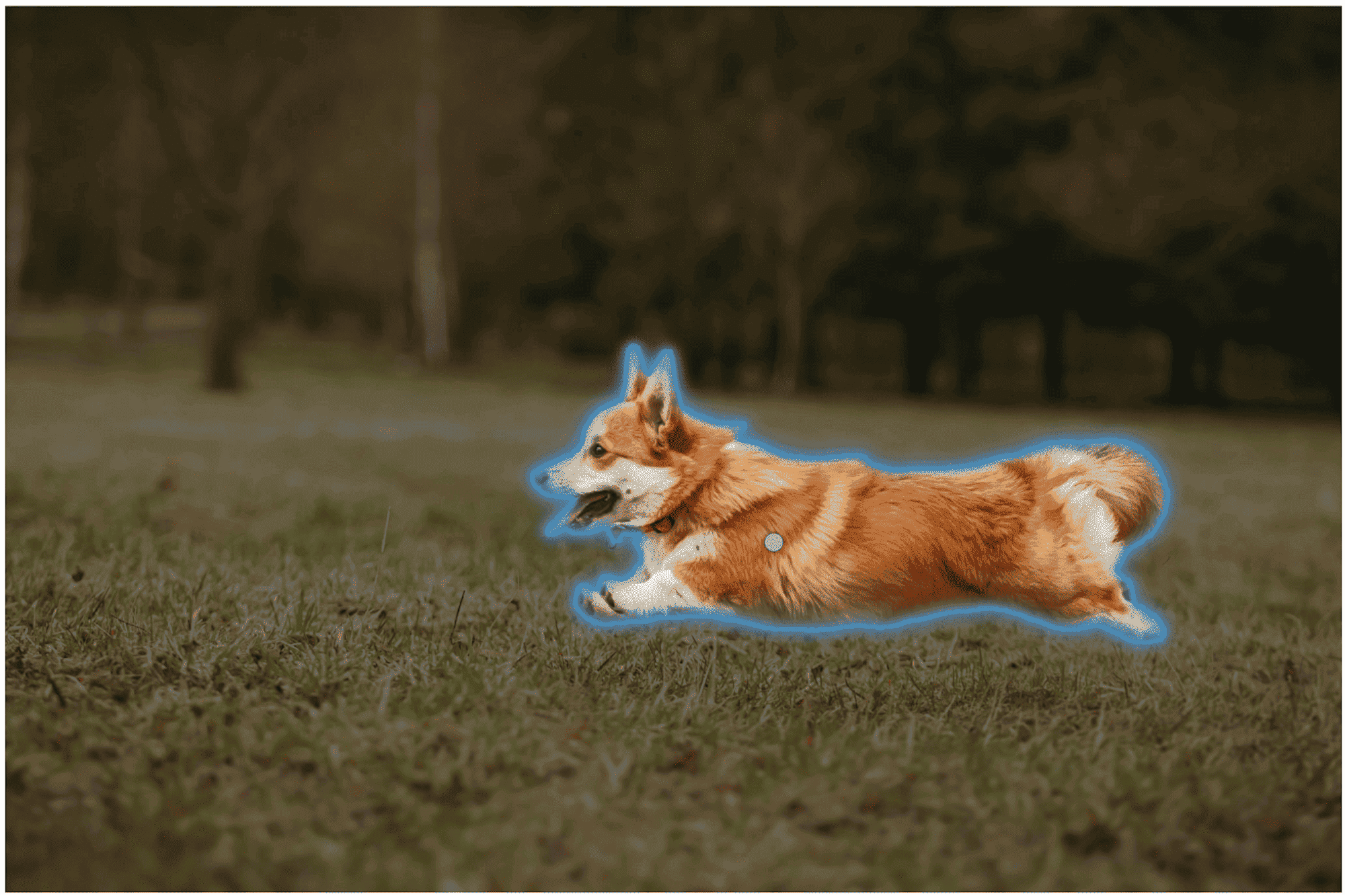 Key Capabilities of SAM 2